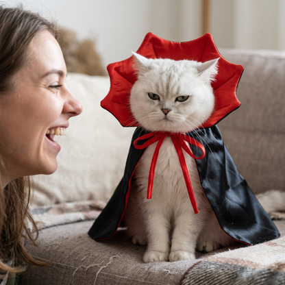 Disfraz Boo Paws para gatos y perros